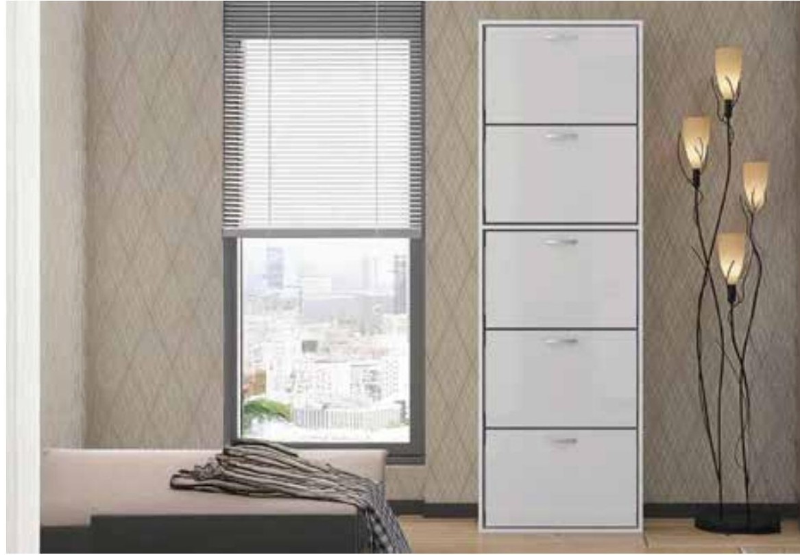 4U-3 High Gloss Shoe Rack X5